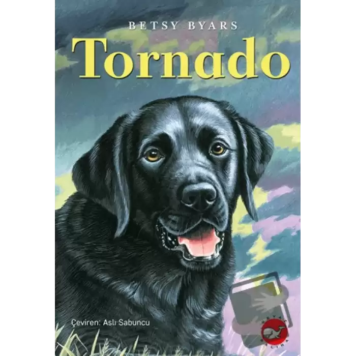 Tornado