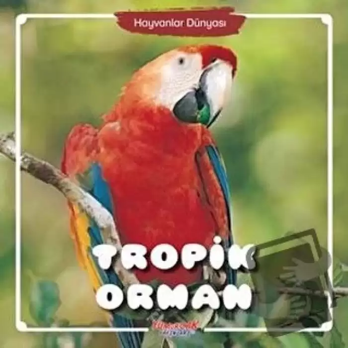 Tropik Orman - Hayvanlar Dünyası