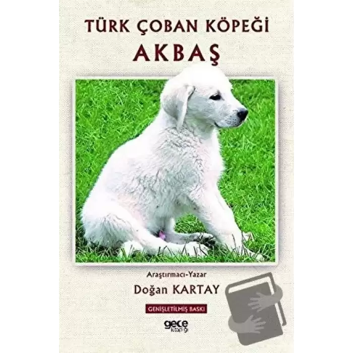 Türk Çoban Köpeği Akbaş