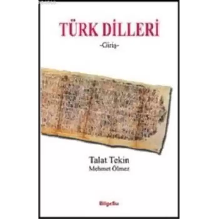 Türk Dilleri Giriş