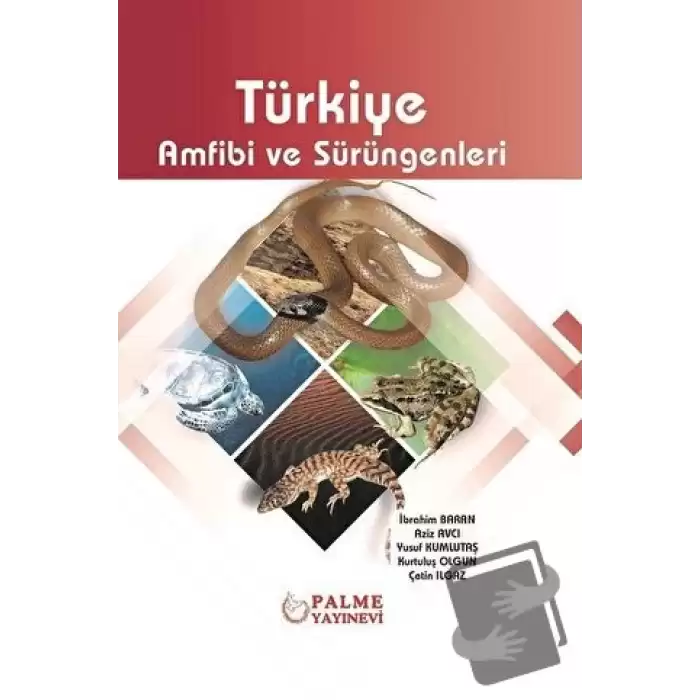 Türkiye Amfibi ve Sürüngenleri (Ciltli)