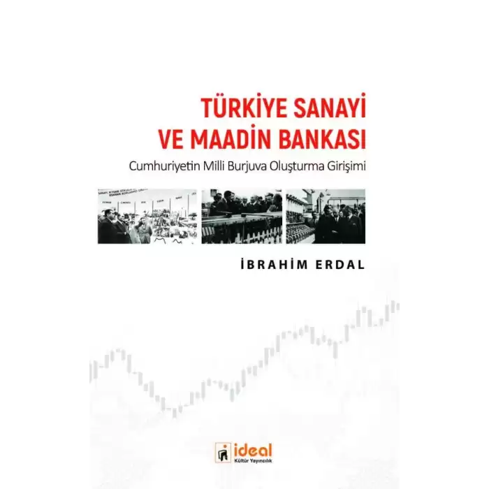 Türkiye Sanayi ve Maadin Bankası