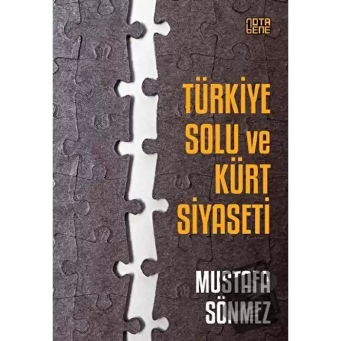 Türkiye Solu ve Kürt Siyaseti