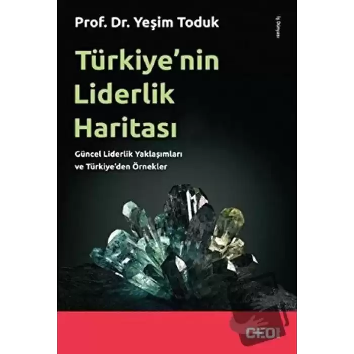 Türkiye’nin Liderlik Haritası