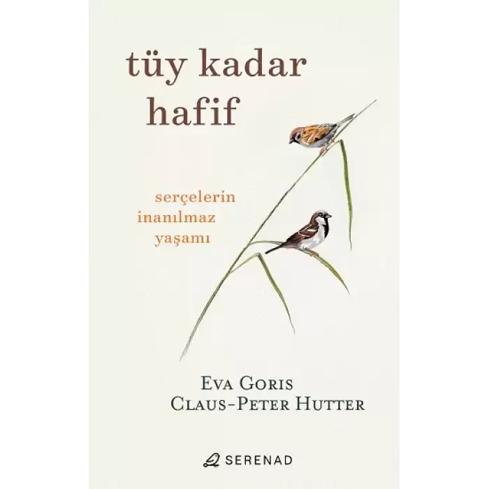 Tüy Kadar Hafif