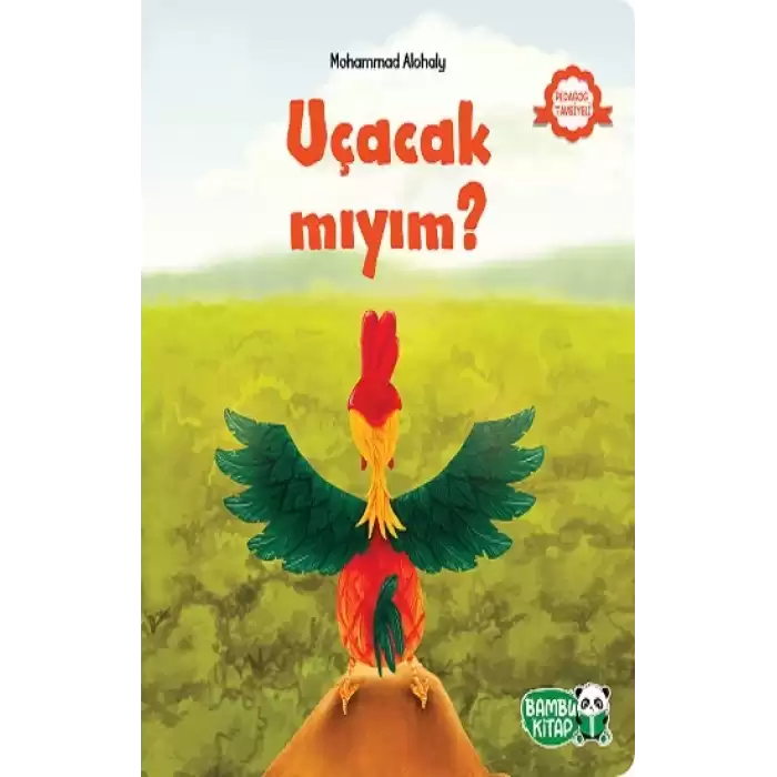 Uçacak Mıyım?