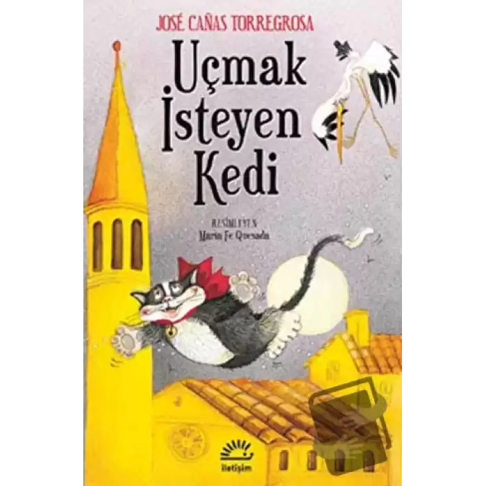 Uçmak isteyen Kedi