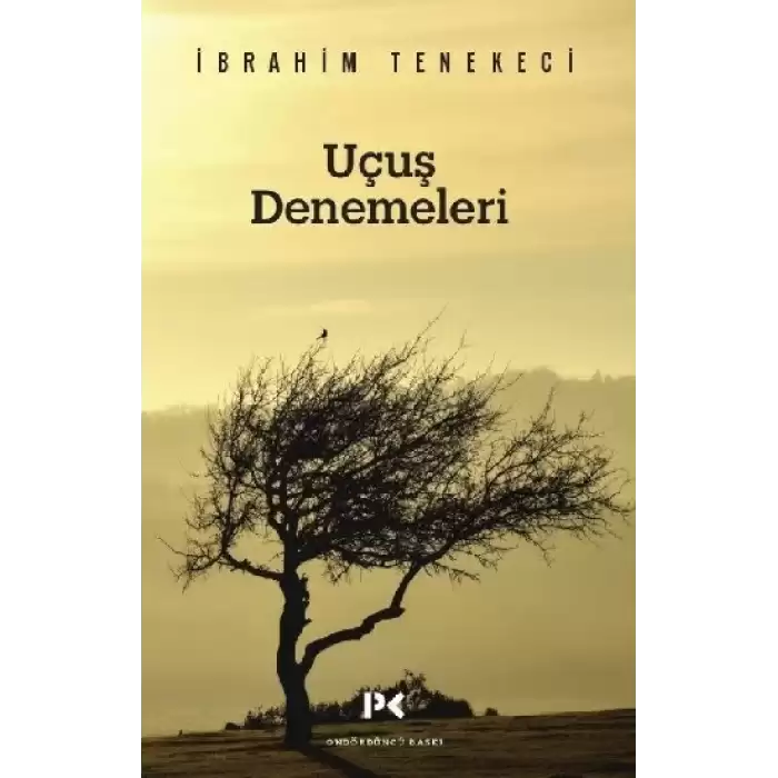 Uçuş Denemeleri