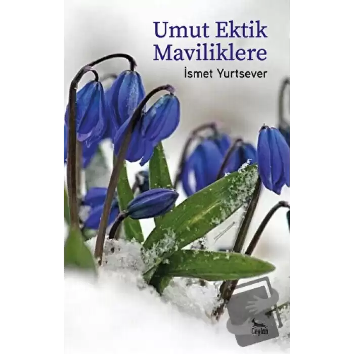 Umut Ektik Maviliklere