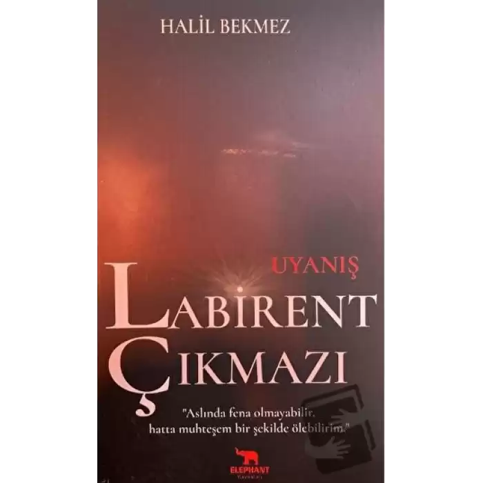 Uyanış Labirent Çıkmazı