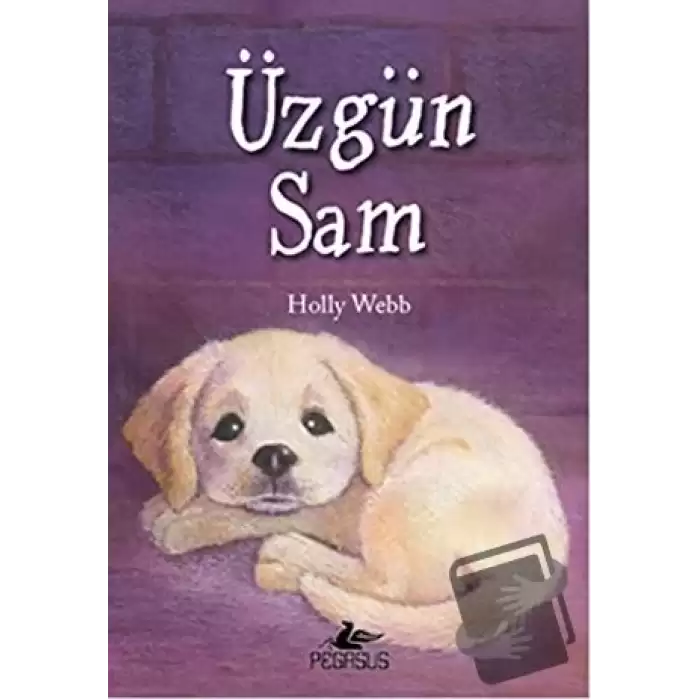 Üzgün Sam