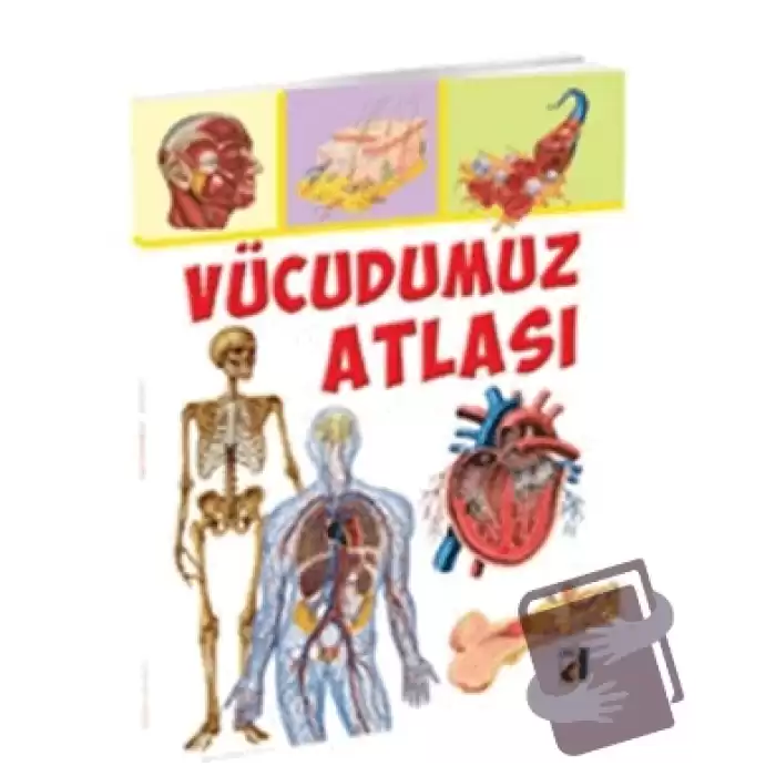 Vücudumuz Atlası