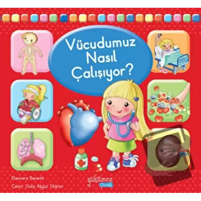 Vücudumuz Nasıl Çalışıyor?