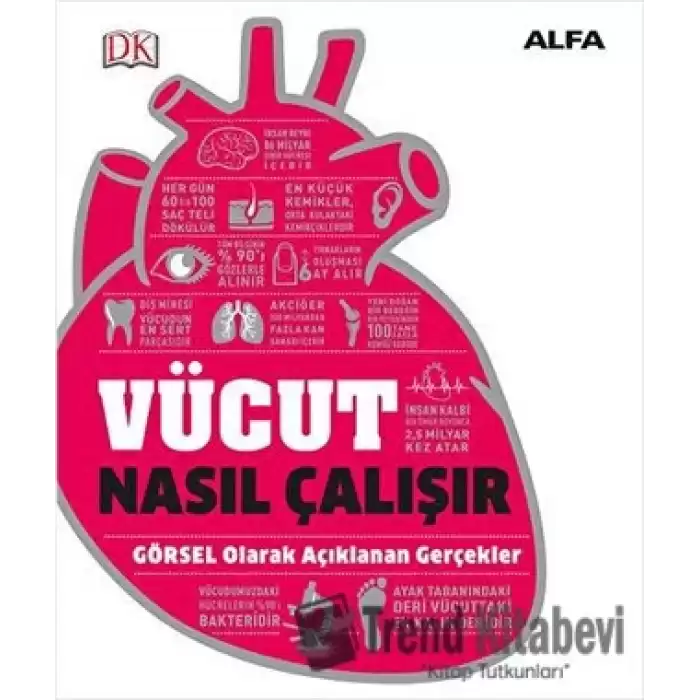 Vücut Nasıl Çalışır (Ciltli)