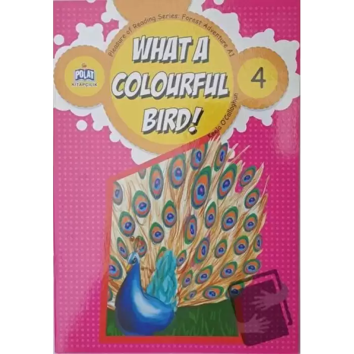 What a Colourful Bird ! - 4