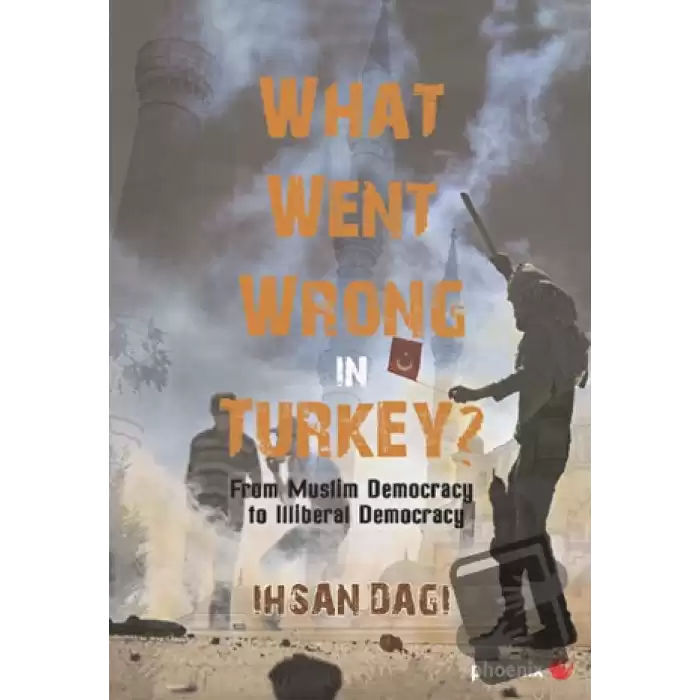 What Went Wrong in Turkey?