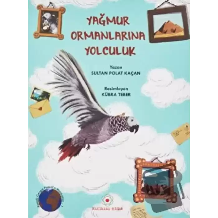 Yağmur Ormanlarına Yolculuk