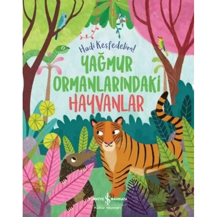 Yağmur Ormanlarındaki Hayvanlar - Hadi Keşfedelim!