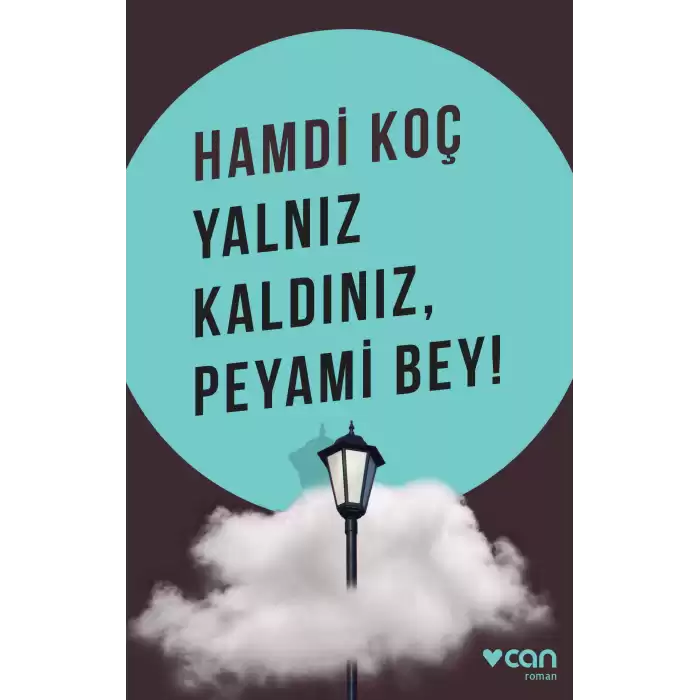 Yalnız Kaldınız, Peyami Bey!