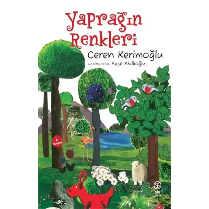 Yaprağın Renkleri