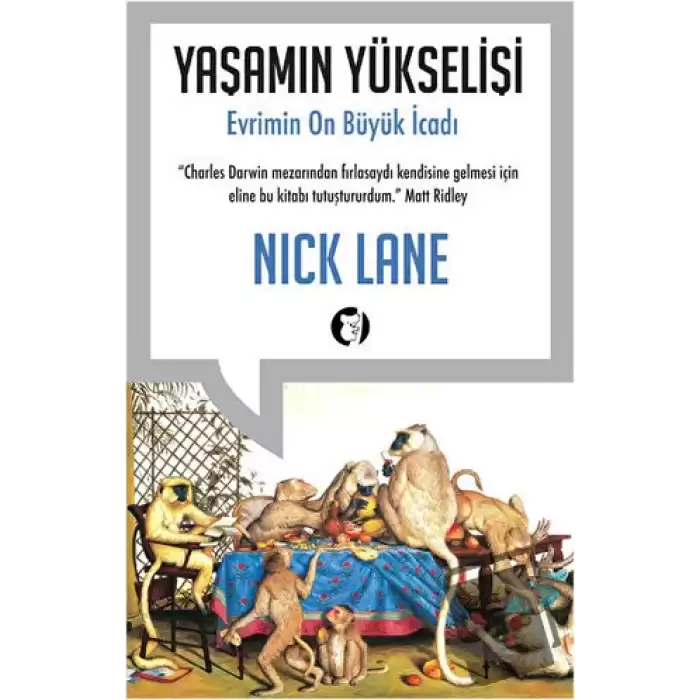 Yaşamın Yükselişi