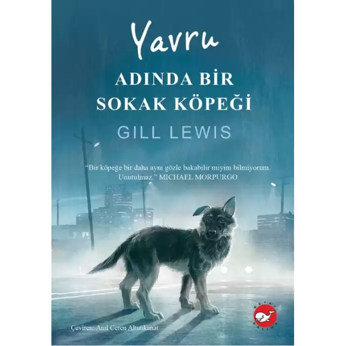 Yavru Adında Bir Sokak Köpeği