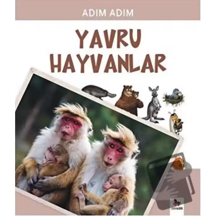 Yavru Hayvanlar