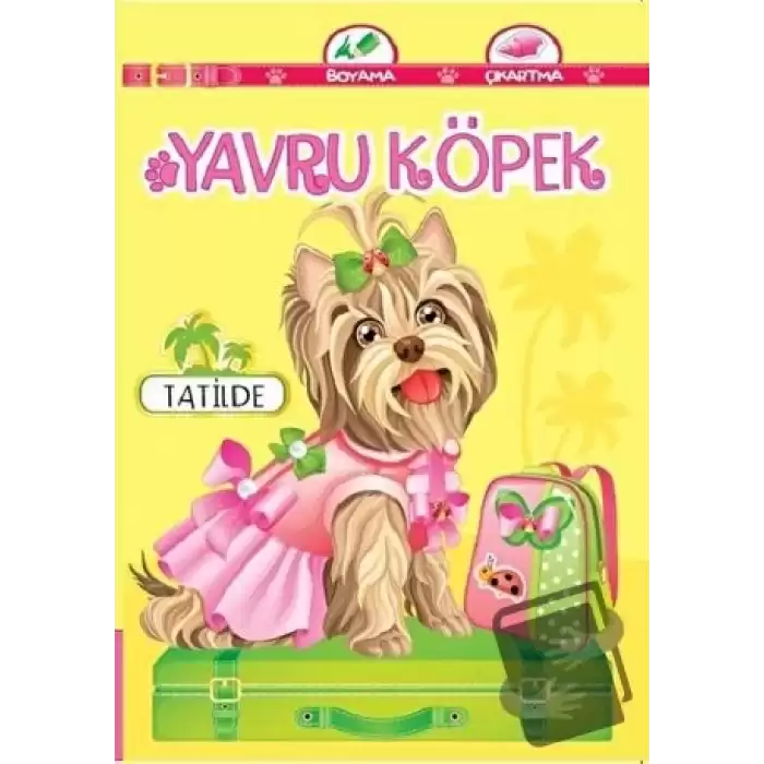 Yavru Köpek Tatilde