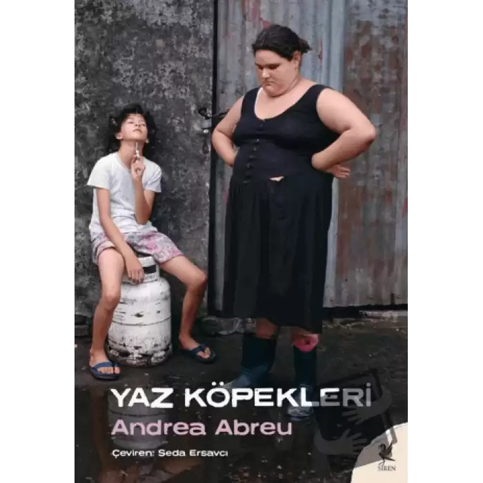 Yaz Köpekleri