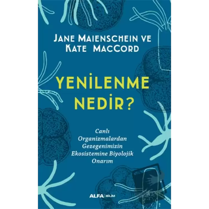 Yenilenme Nedir?