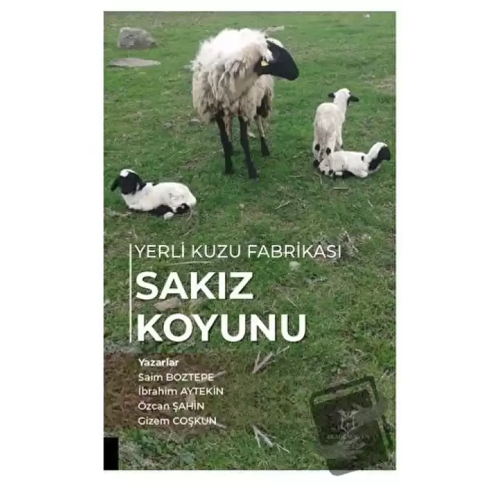 Yerli Kuzu Fabrikası Sakız Koyunu