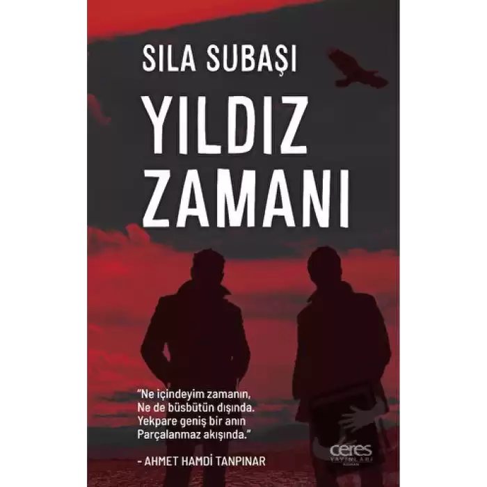 Yıldız Zamanı