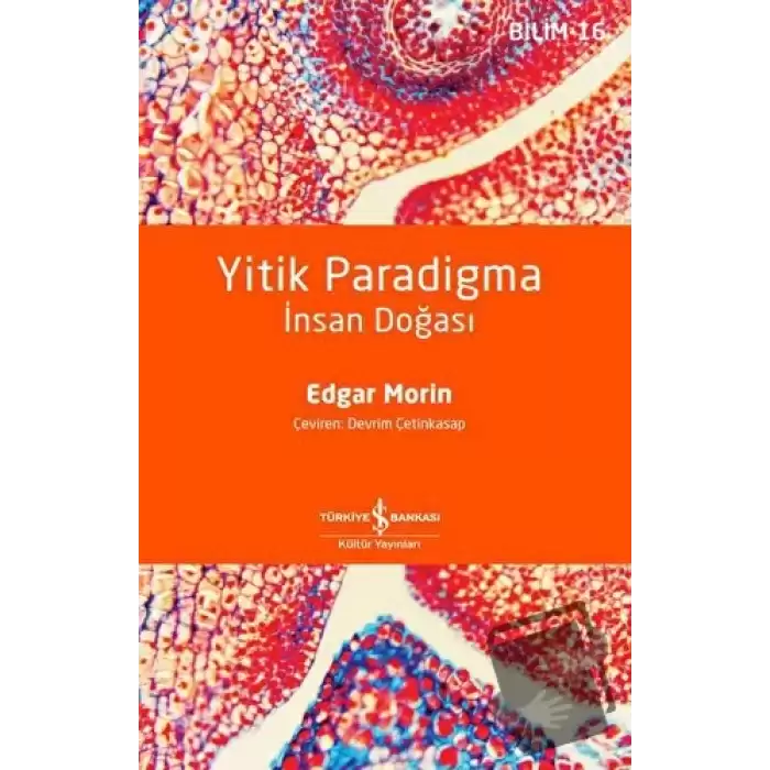 Yitik Paradigma - İnsan Doğası