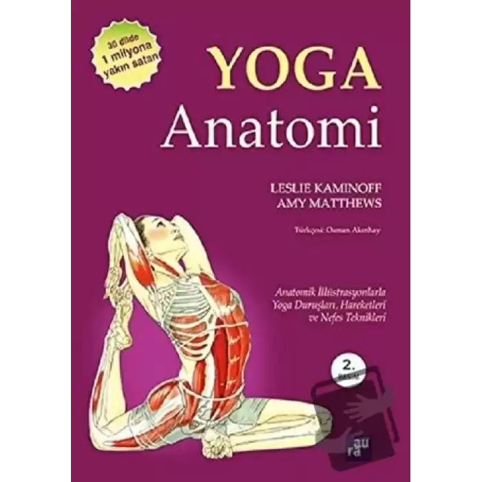 Yoga Anatomi