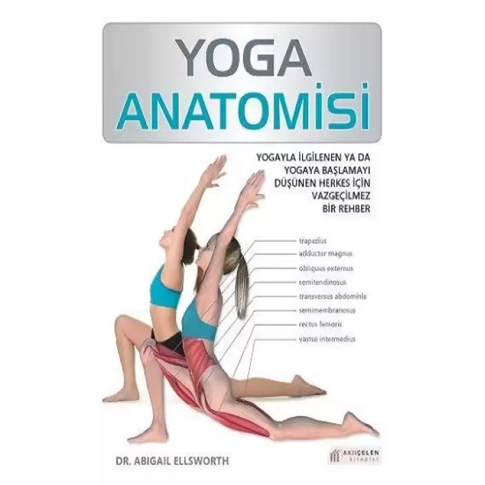 Yoga Anatomisi