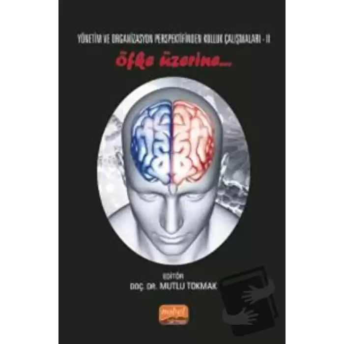 Yönetim ve Organizasyon Perspektifinden Kolluk Çalışmaları II - Öfke Üzerine..