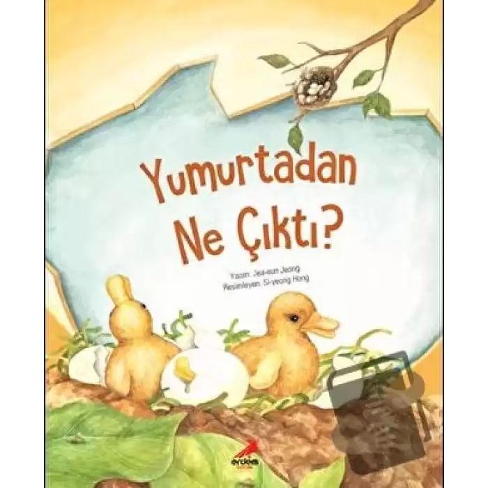 Yumurtadan Ne Çıktı?