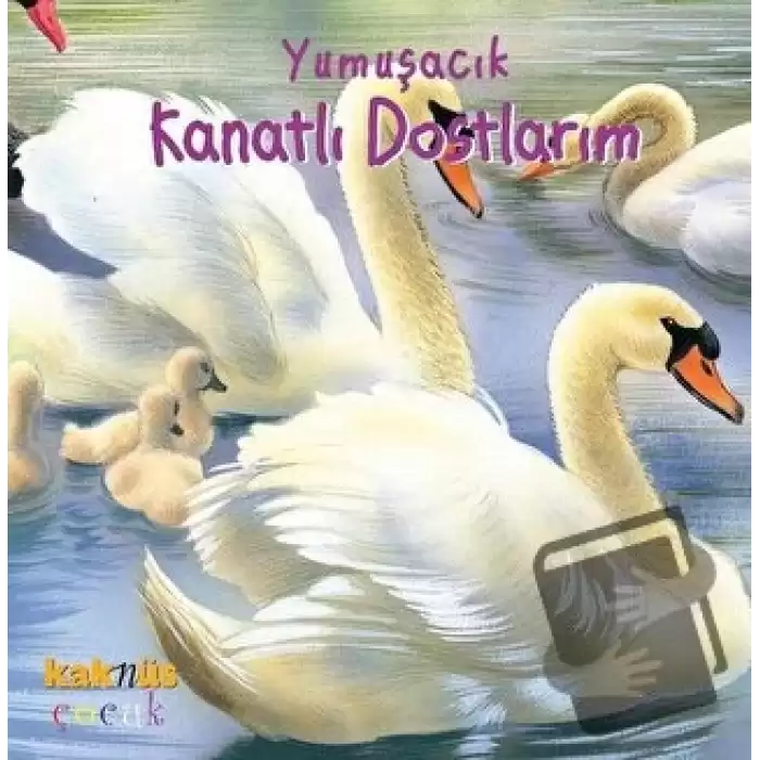 Yumuşacık Kanatlı Dostlarım