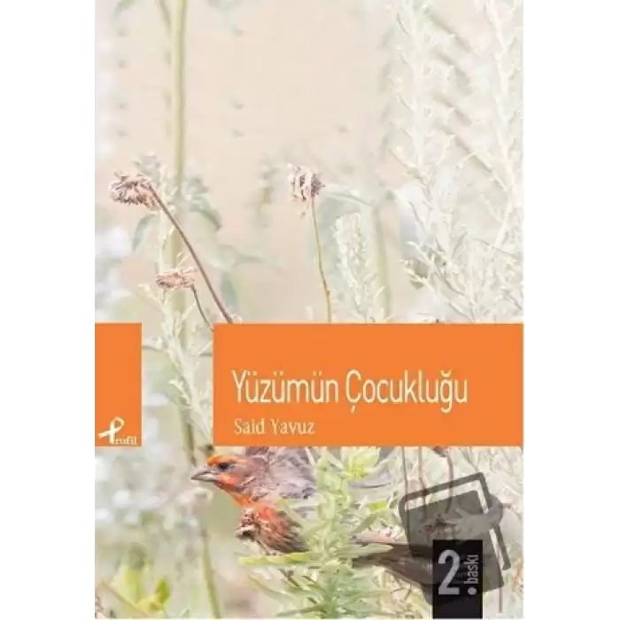 Yüzümün Çocukluğu