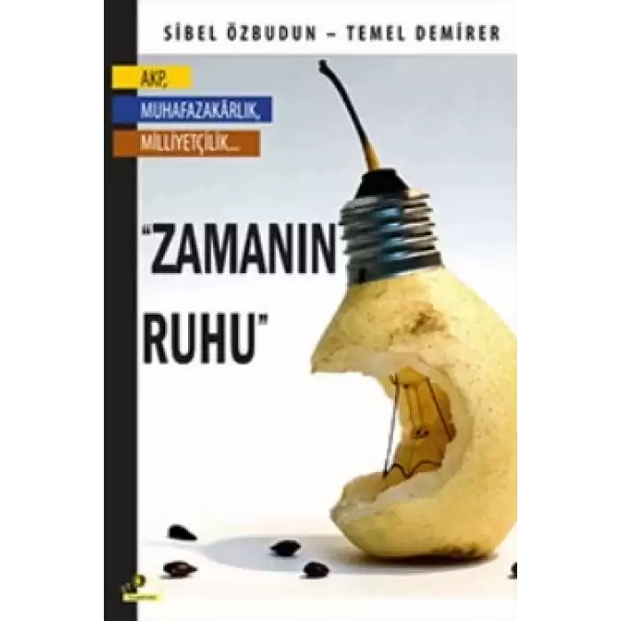 Zamanın Ruhu