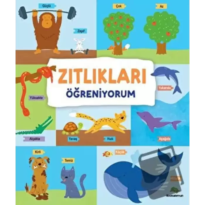 Zıtlıkları Öğreniyorum