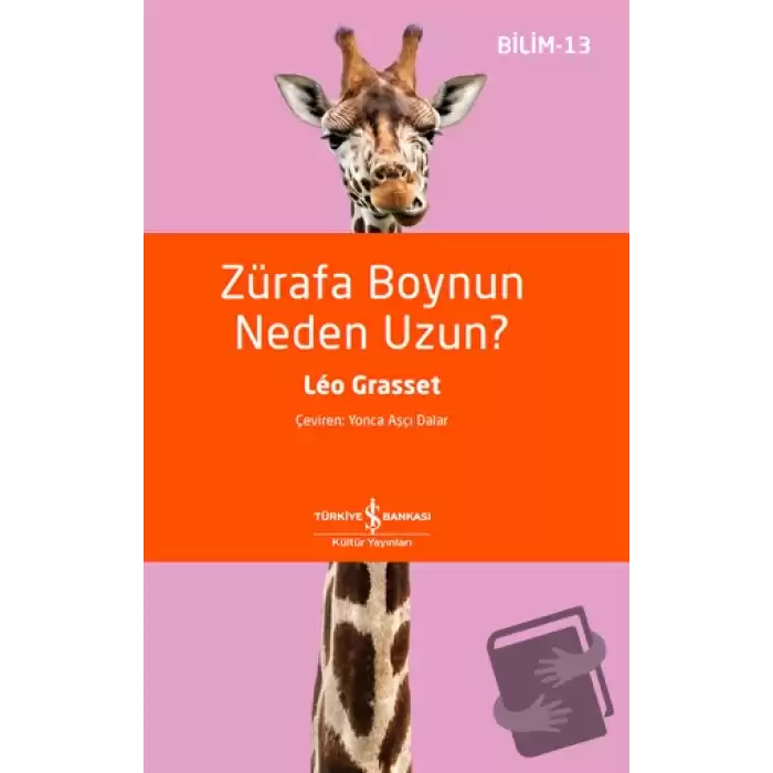 Zürafa Boynun Neden Uzun?