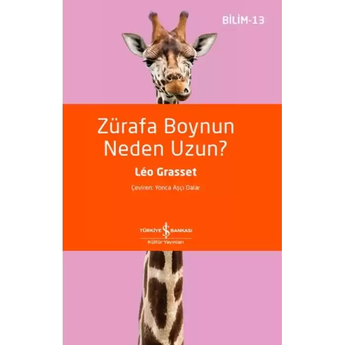 Zürafa Boynun Neden Uzun? - Bilim 13