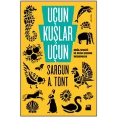 Uçun Kuşlar Uçun