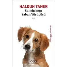 Sancho’nun Sabah Yürüyüşü