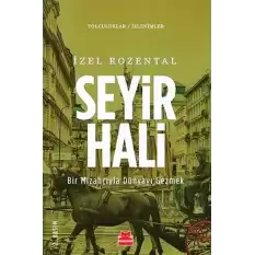 Seyir Hali - Bir Mizahçıyla Dünyayı Gezmek (Yolculuklar / İzlenimler 2)