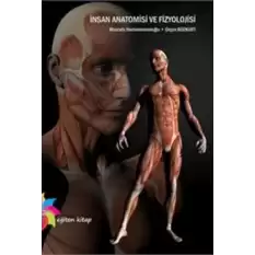 İnsan Anatomisi ve Fizyolojisi