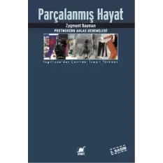 Parçalanmış Hayat