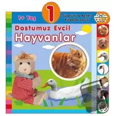 1+ Yaş Dostumuz Evcil Hayvanlar (Ciltli)