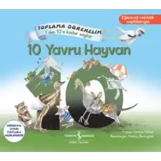 10 Yavru Hayvan – Toplama Öğrenelim 1’den 10’a Kadar Sayılar